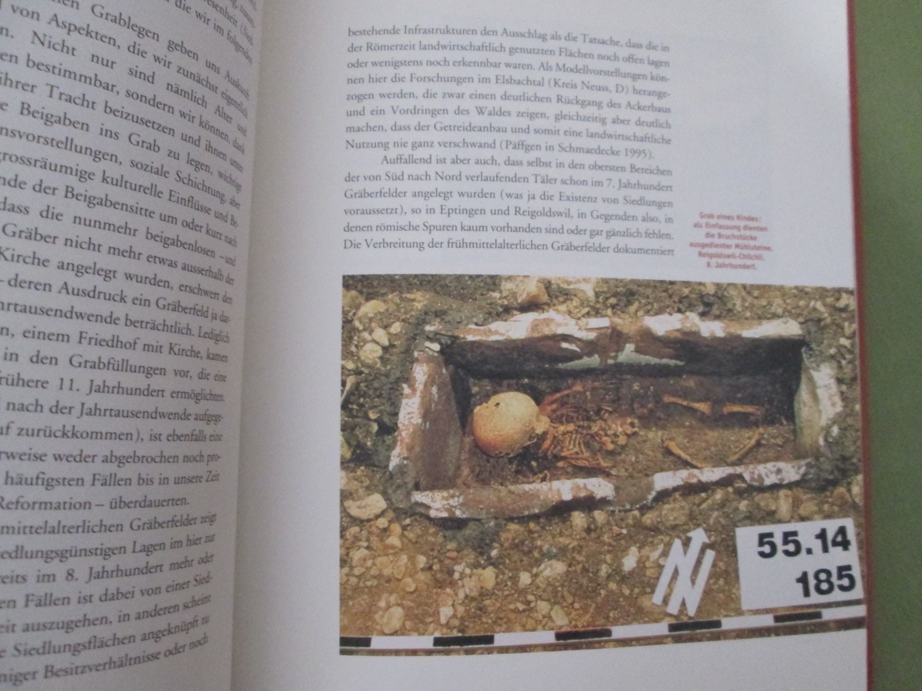 Libri: Gesellschaft und Ernährung um 1000 – Usato da Neuchâtel venduto da Dualseele 3