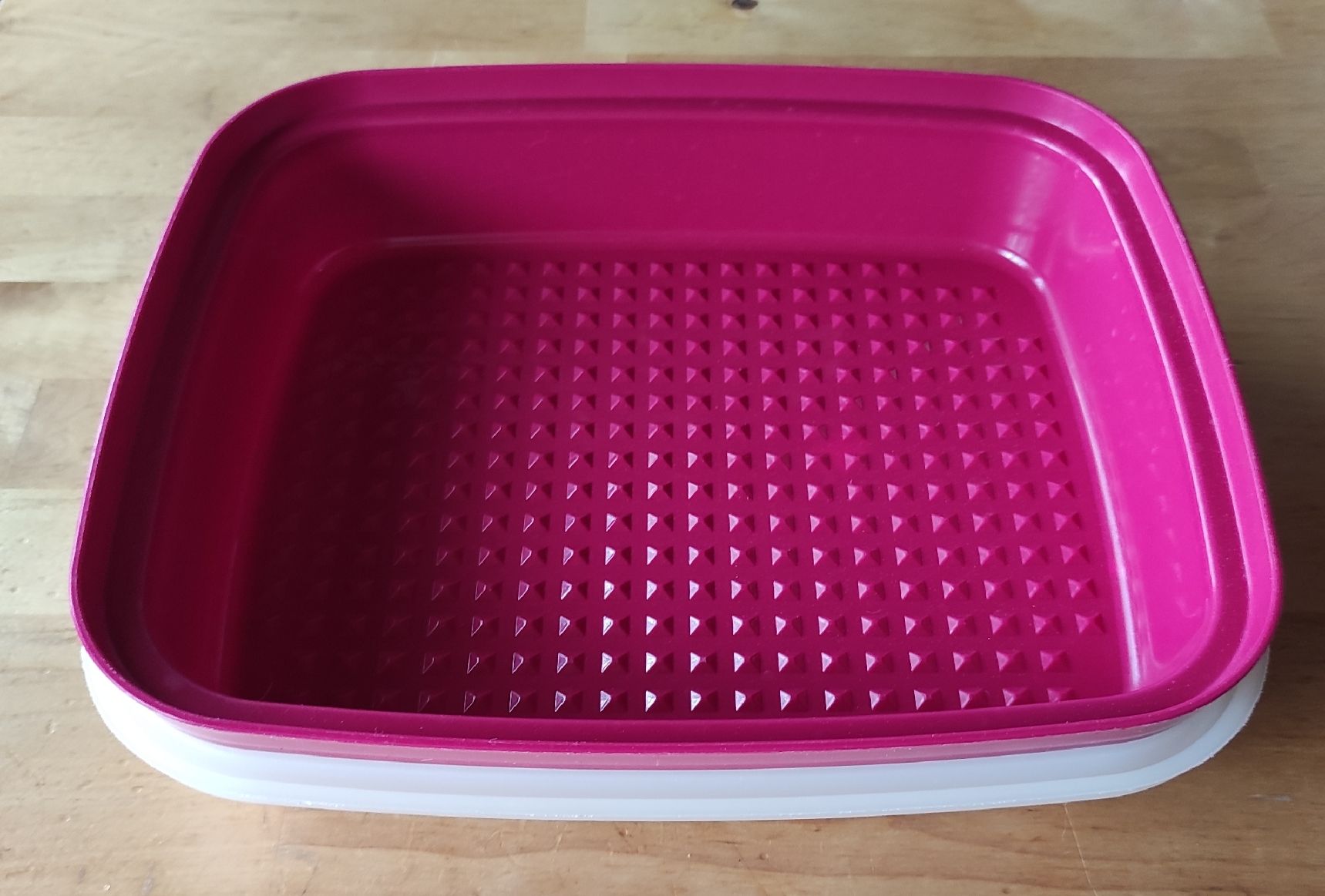 Tupperware Contenitori & Simili: Fleischmarinierer/ Box Tupperware 🍀 – Usato da Steinerberg venduto da Minka10 1