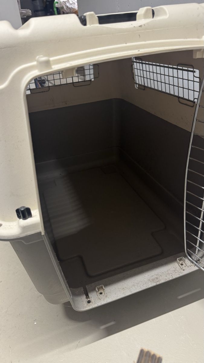 Cucce & Letti: Praktische Hundebox – Usato da Weiningen ZH venduto da proi4o 4