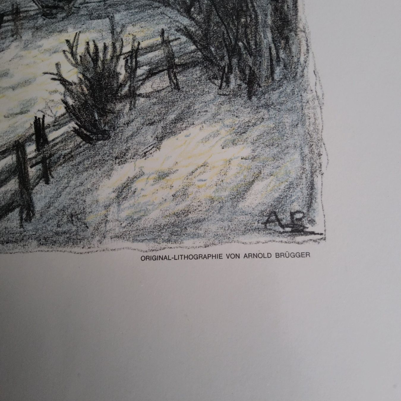 Grafica & Litografie: Original Lithografie Arnold Brügger gerahmt – Usato da Diegten venduto da ayla2009 1