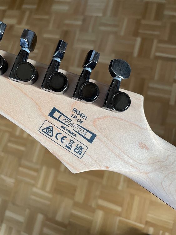 Ibanez RG421-MOL E-Gitarre | Kaufen auf Ricardo