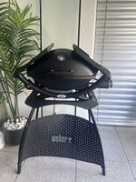 Weber Q 2000 Gasgrill