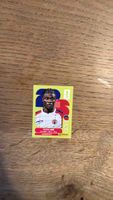 Panini Sticker Ricardo Ade, gebraucht