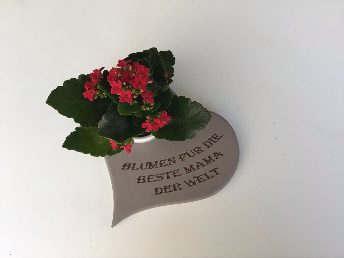 Tutte le decorazioni: Herz für Muttertag – Nuovo (secondo la descrizione) da Benken SG venduto da Hagli76 1