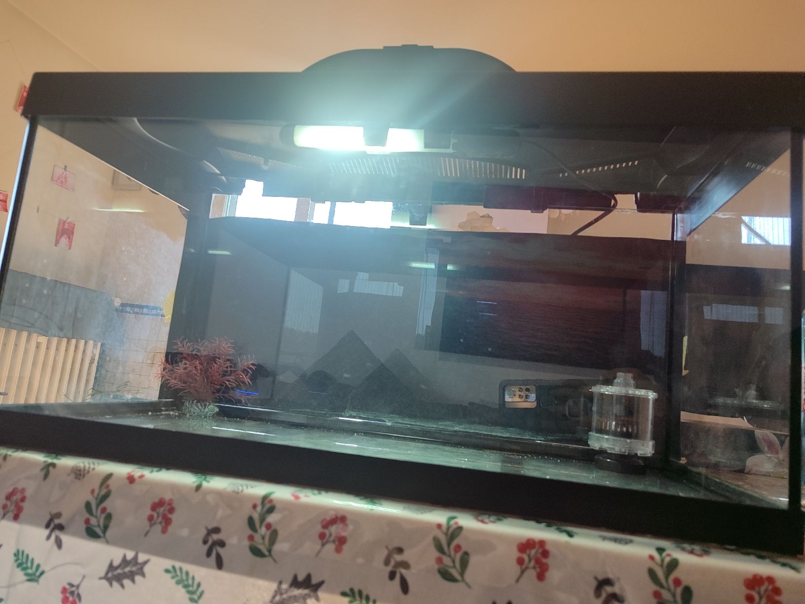Acquari: Aquarium mit Filter und Dekoration – Usato da Frauenfeld venduto da crh_v2vh 1