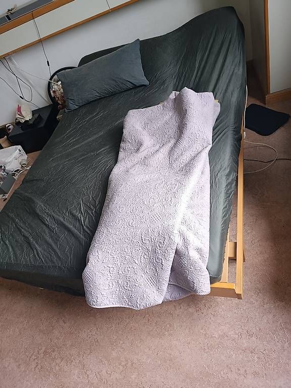 Letti: Bett mit century modern, Schweizer Buche, Original – Usato da Zürich venduto da ABraun1980 1