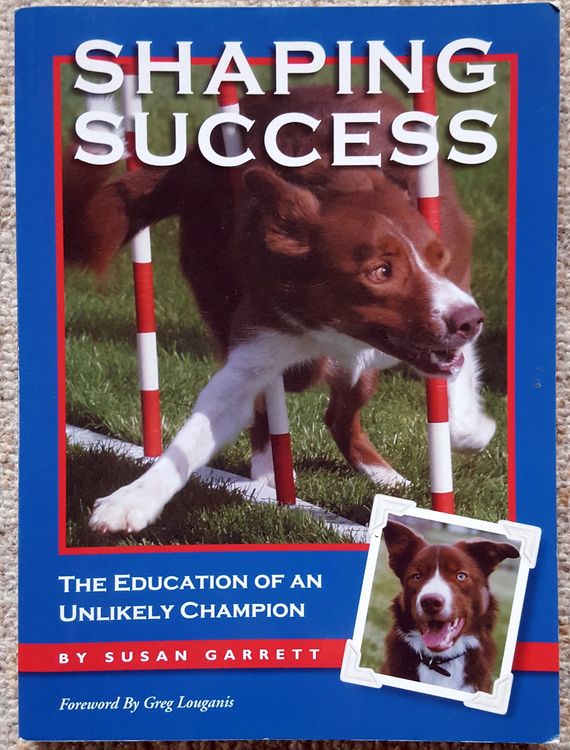 Shaping Success Susan Garrett Education of An Unlikely Champ Kaufen