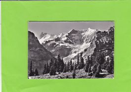 4687 Bussalp ob Grindelwald
