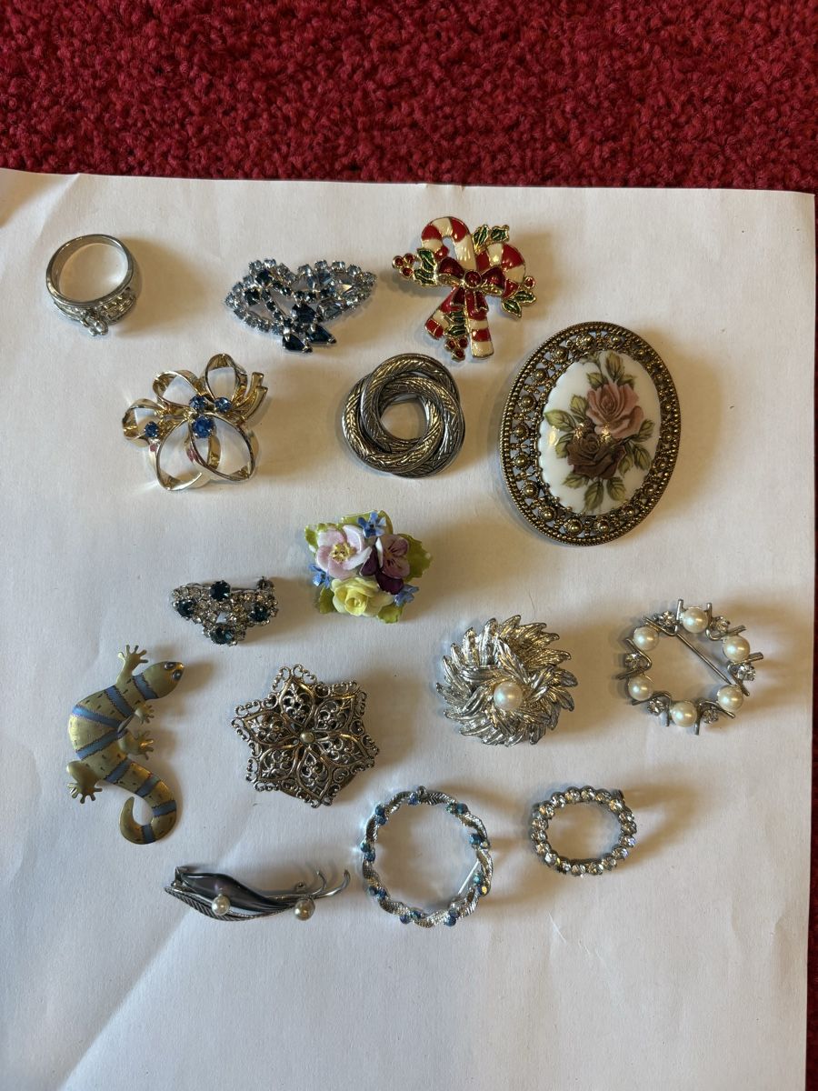 Broches & Aiguilles: Brosche Lot  – D'occasion à Murten par Tzaugg