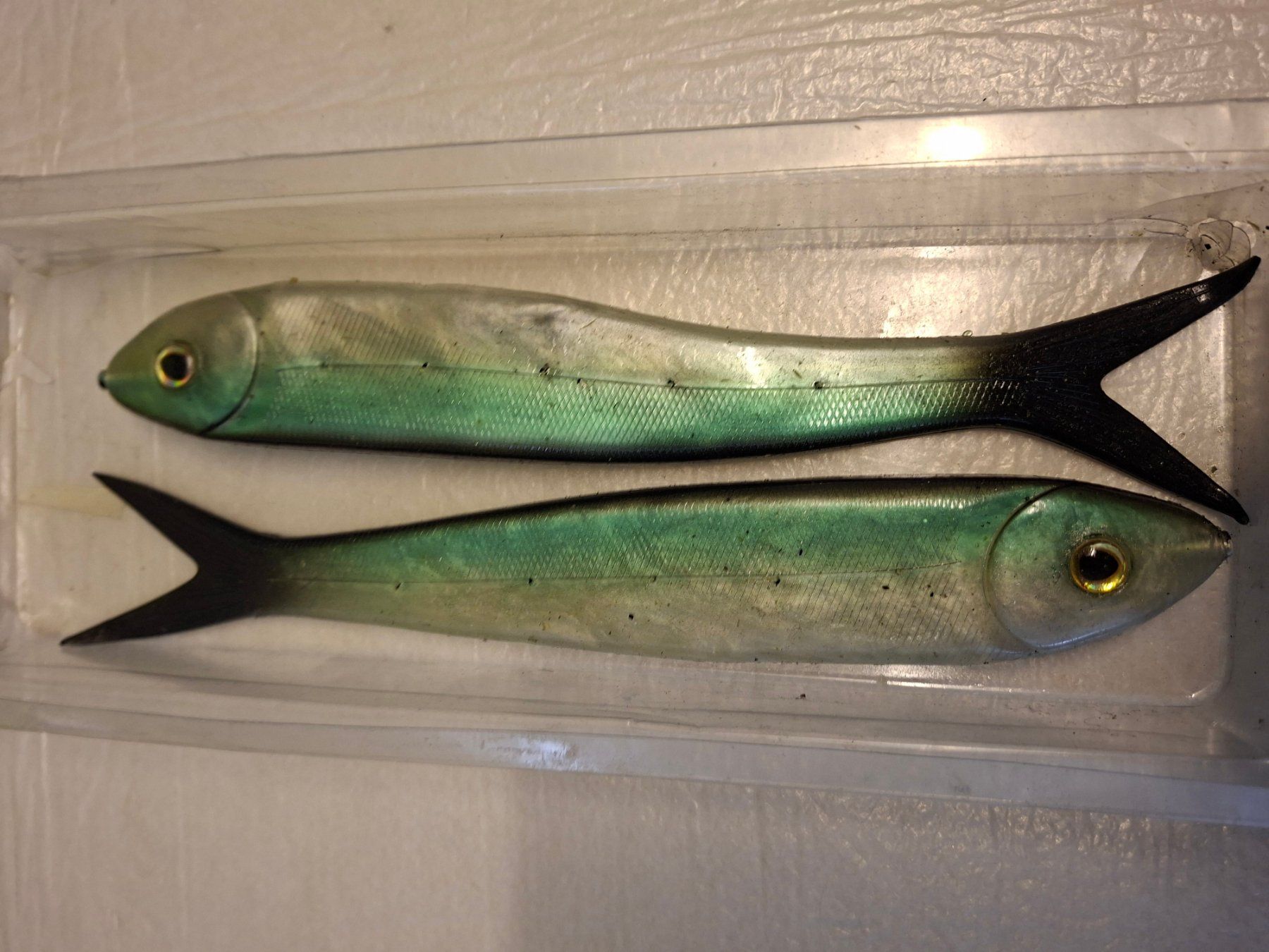 Appâts: Fische – D'occasion à Zürich par pie_99jd 1