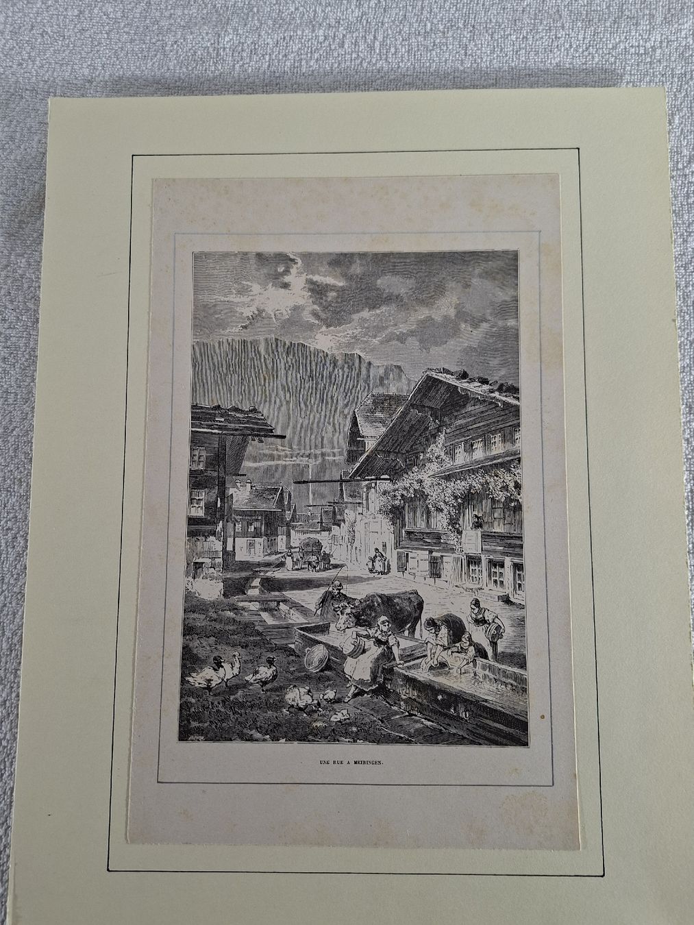 Incisioni: Lot 41 , 5 Stiche  – Usato da Grindelwald venduto da carro5 4