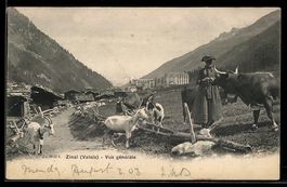 AK Zinal /Valais, Vue générale, 1903