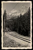 AK Arosa, Bahnlinie mit Gleisen und Tannen vor Bergpanorama