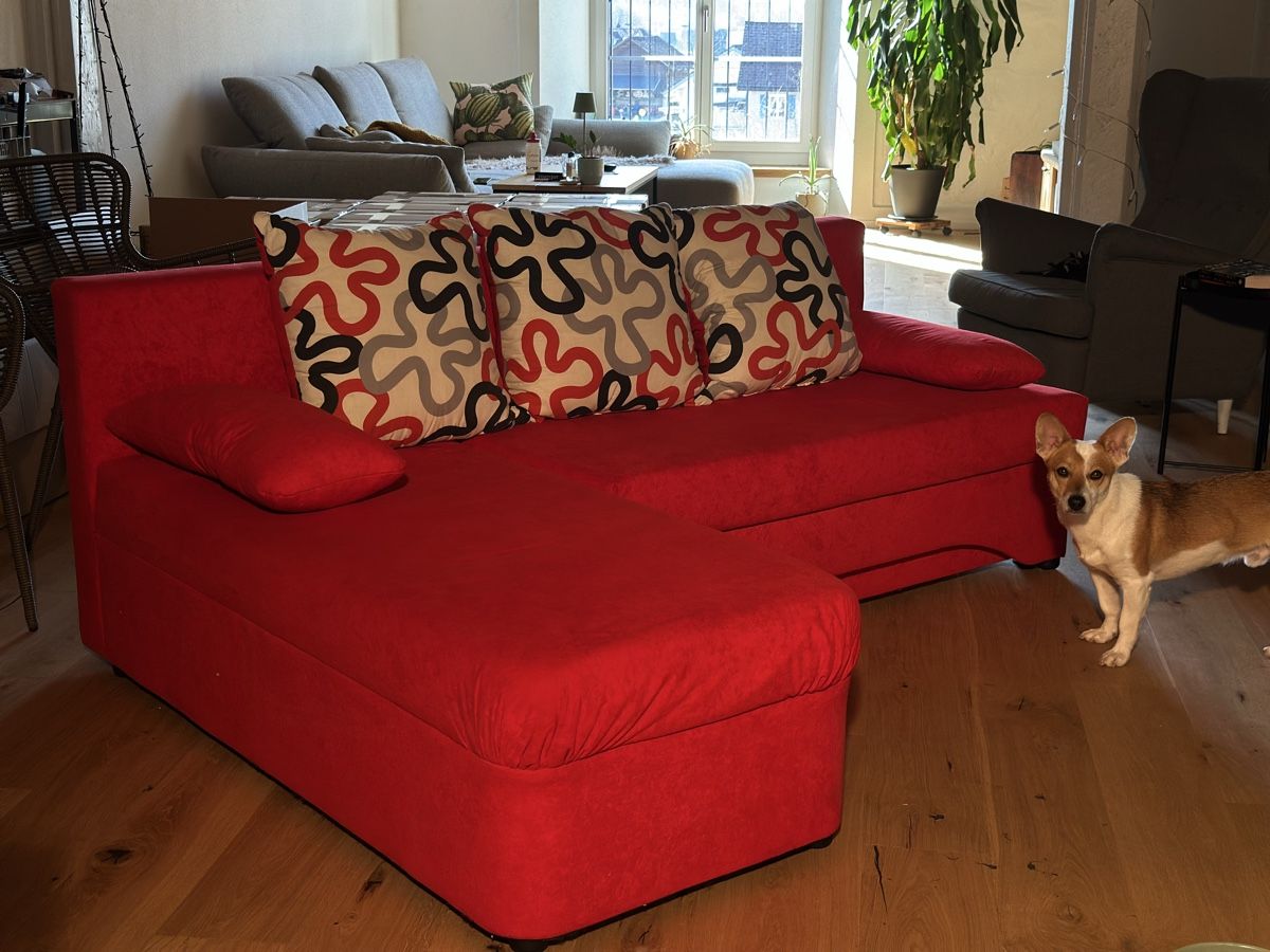 Divani: ausziehbares Sofa rot – Usato da Meierskappel venduto da sonagr 3