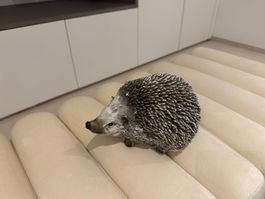 Igel Deko Garten Tier Figur Gartenfigur Skulptur