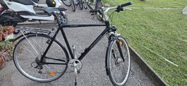 CALIFORNIA BLADE VELO