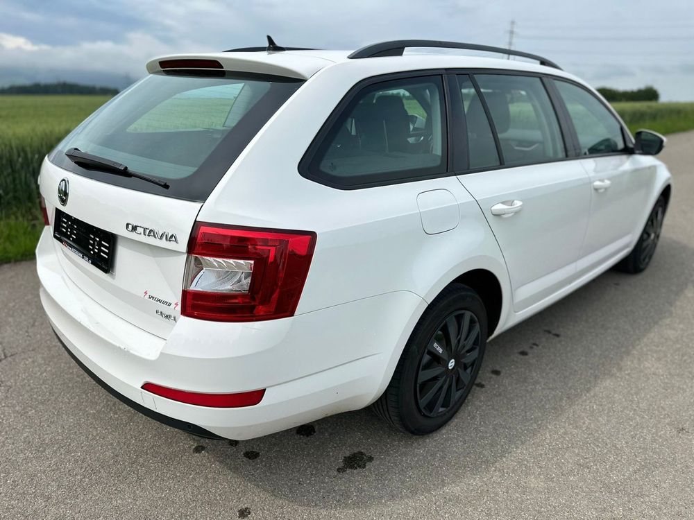 Skoda Automobili: SKODA Octavia Combi 1.6 TDI Swiss Joy 4x4 – Usato da Hünenberg venduto da Auto-Klinik01 8