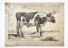 💚 ANTIKE KUPFERSTICH RADIERUNG Paulus Potter (1625–1654) 💚
