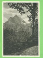 Braunwald mit Ortstock