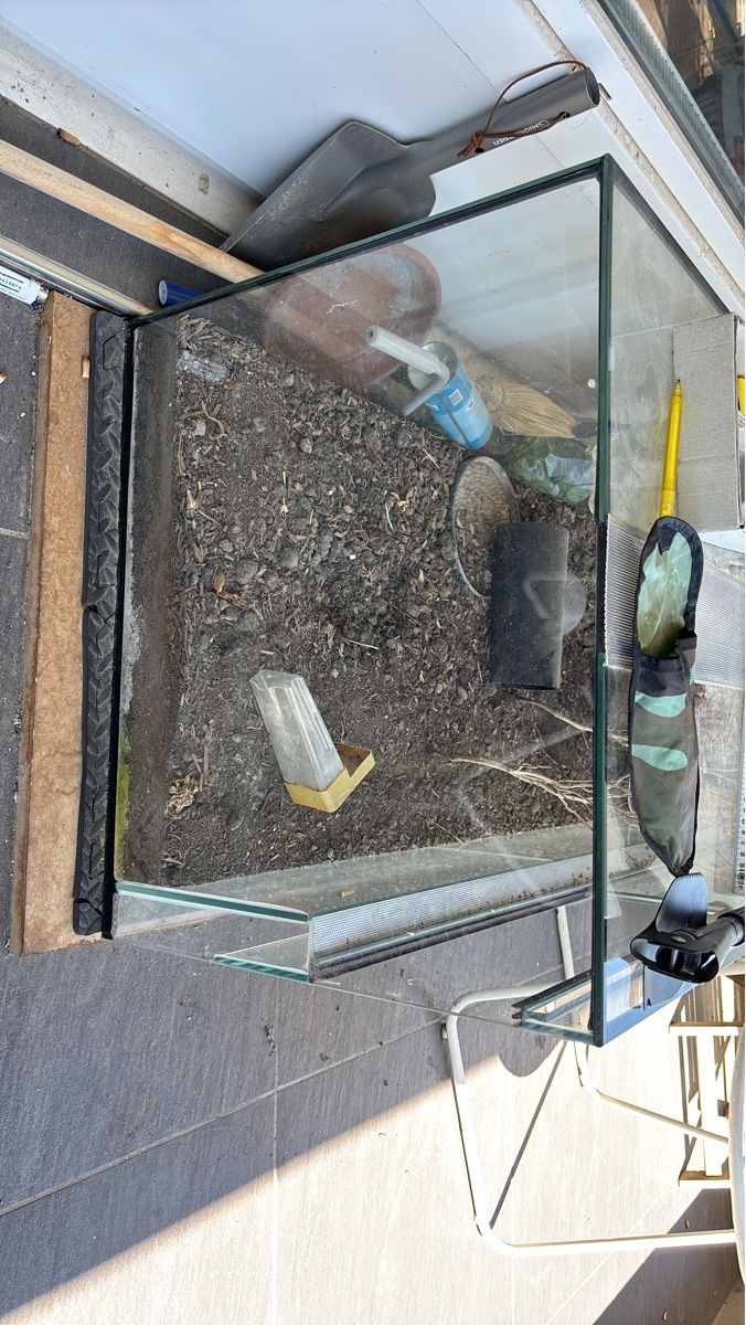 Terrario: Terrarium mit Zubehör gebraucht – Usato da Biel/Bienne venduto da AutoCareClub-GmbH