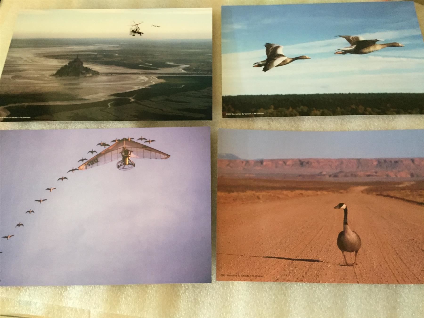 Alle DVDs: Jacques Perrin "Les Ailes de la Nature" Coffret Collector – Neu (gemäss Beschreibung) aus Genève von Cockattoo 6