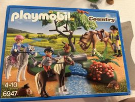 Playmobil Pferde (Country)