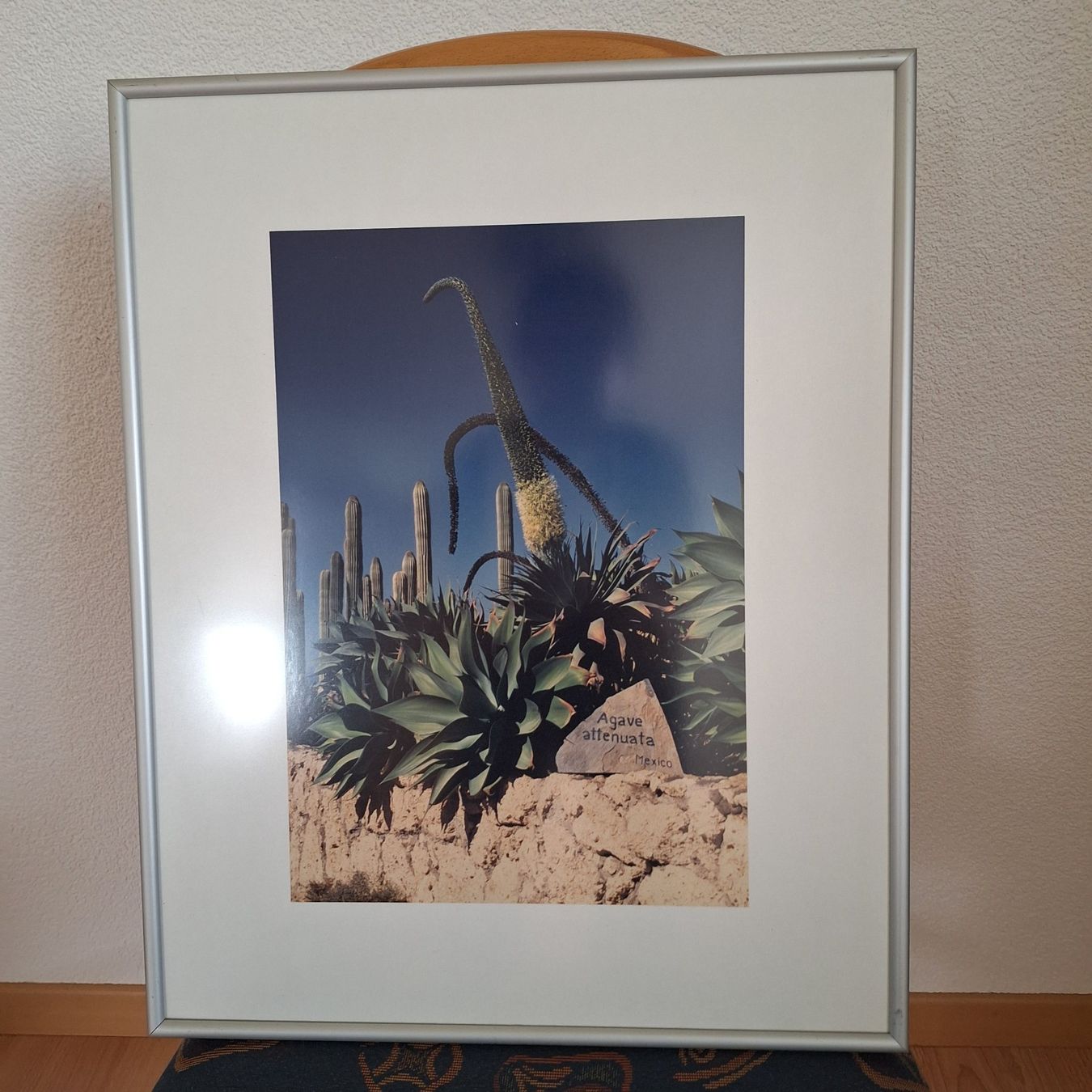 Foto & Immagini: -8- Bilderrahmen mit div. Fotos – Usato da Schöftland venduto da casalti 1