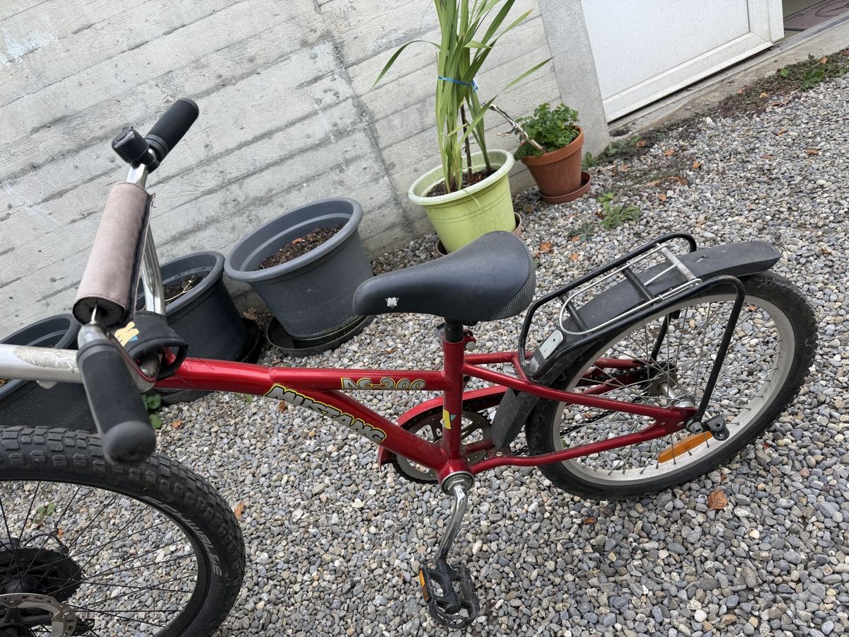 Vélos: Schattenvelo / Follow-me – D'occasion à Beinwil am See par pk5037 2