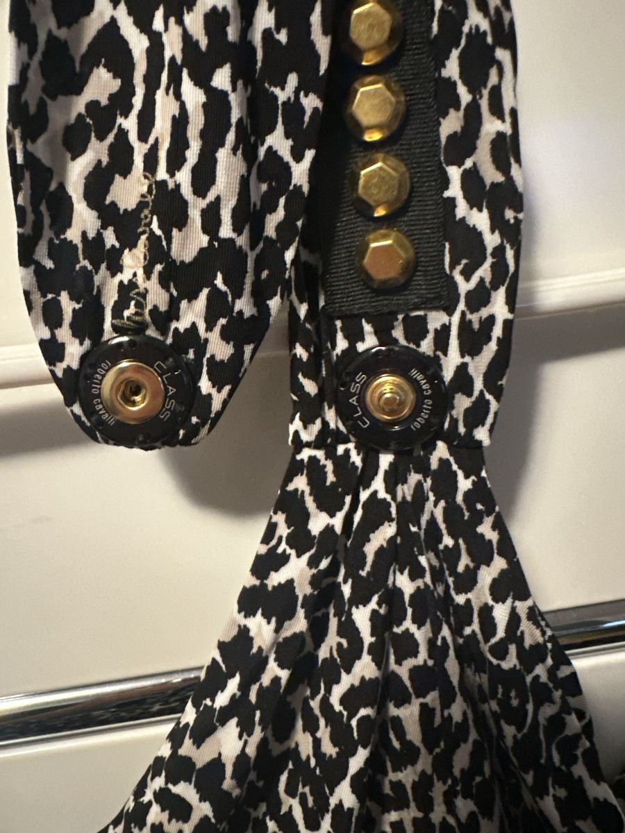 Roberto Cavalli Top: Roberto Cavalli Top, EU 34, Leopardenmuster – Usato da Neuenegg venduto da kar_smg9 1