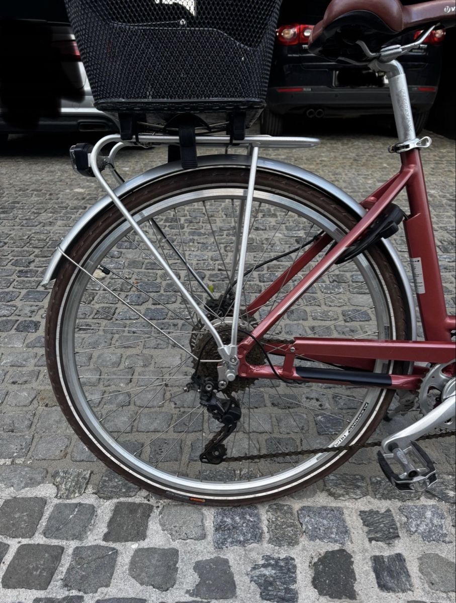 Biciclette: E-Bike City Allegro ACIL – Usato da Wallbach venduto da premiumcc999 3