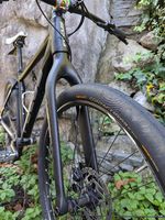 Mtb focus black forest 