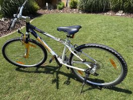 Scott Mountainbike 26“