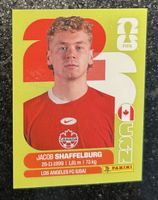 Panini Fifa World Cup 2026
