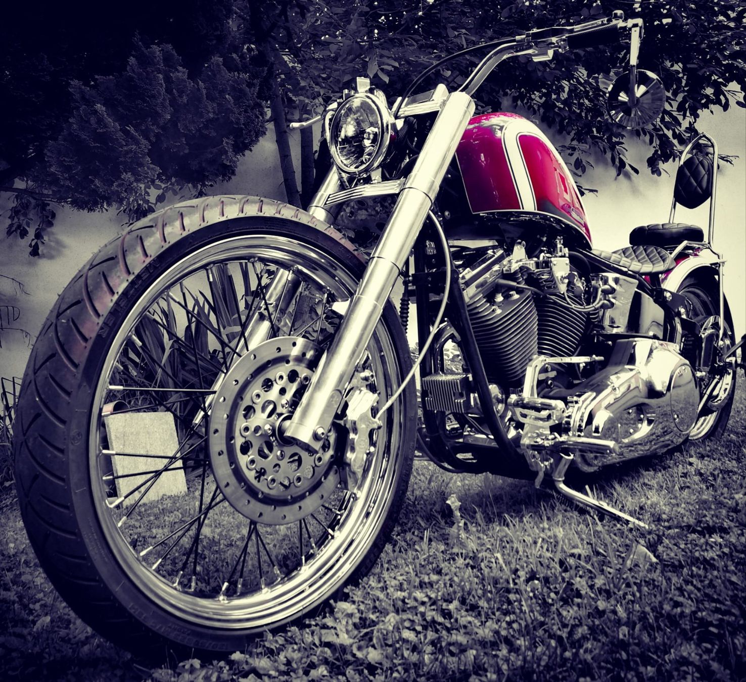 Chopper: Harley Davidson Softail Heritage Custom – Usato da Diepoldsau venduto da Yarisha