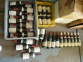 Wein Konvolut Thomas Bassot und Saint-Amour usw.