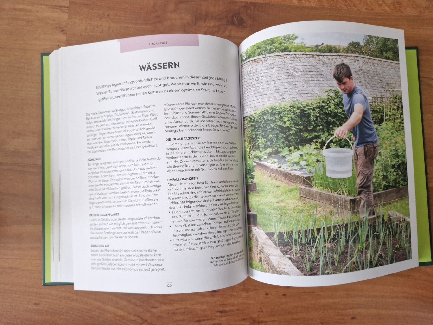 Libri: Buch, Garten – Usato da Wittenbach venduto da Xorre 2