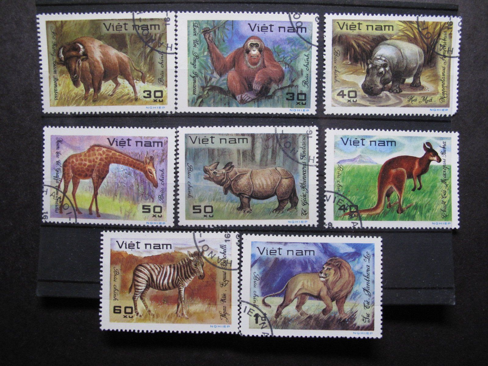 Alle Briefmarken: Vietnam 1981 Tiere  gest. – Gebraucht aus Wil SG von fva01