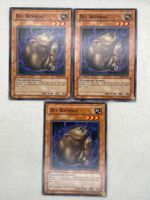 Yu-Gi-Oh 3x Karte Des Wombat TLM-DE031