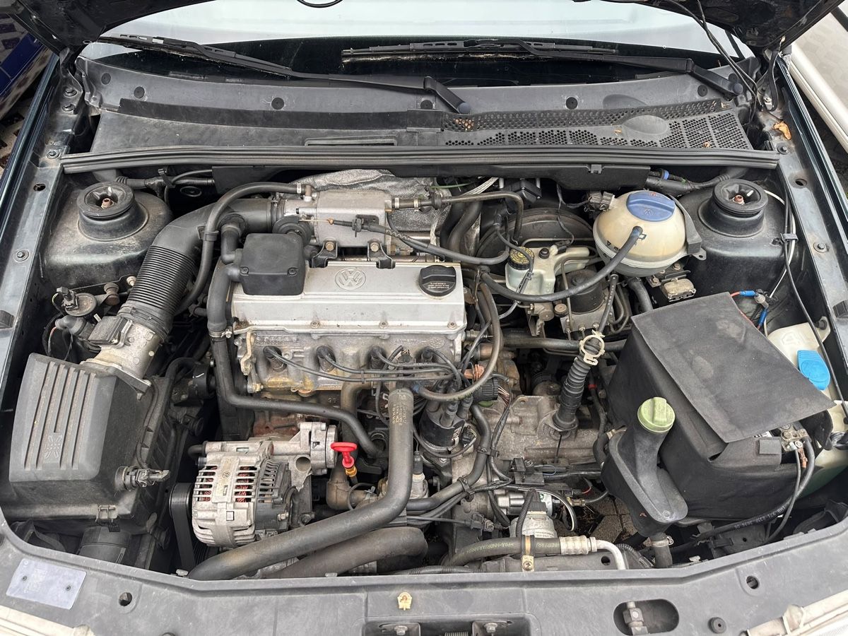 VW Automobili: VW Golf Cabriolet dunkelgrün Schaltgetriebe – Usato da Schmerikon venduto da mir_c2lz 4