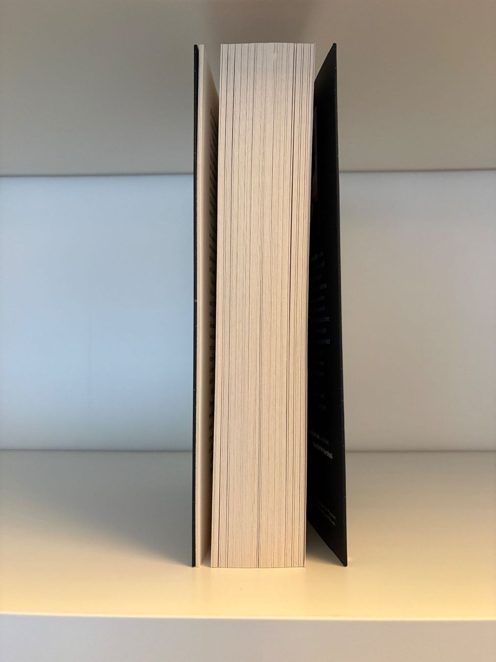 Libri: Nightowls - Kathrin Tordasi – Nuovo (secondo la descrizione) da Steffisburg venduto da elsa.catalina 3
