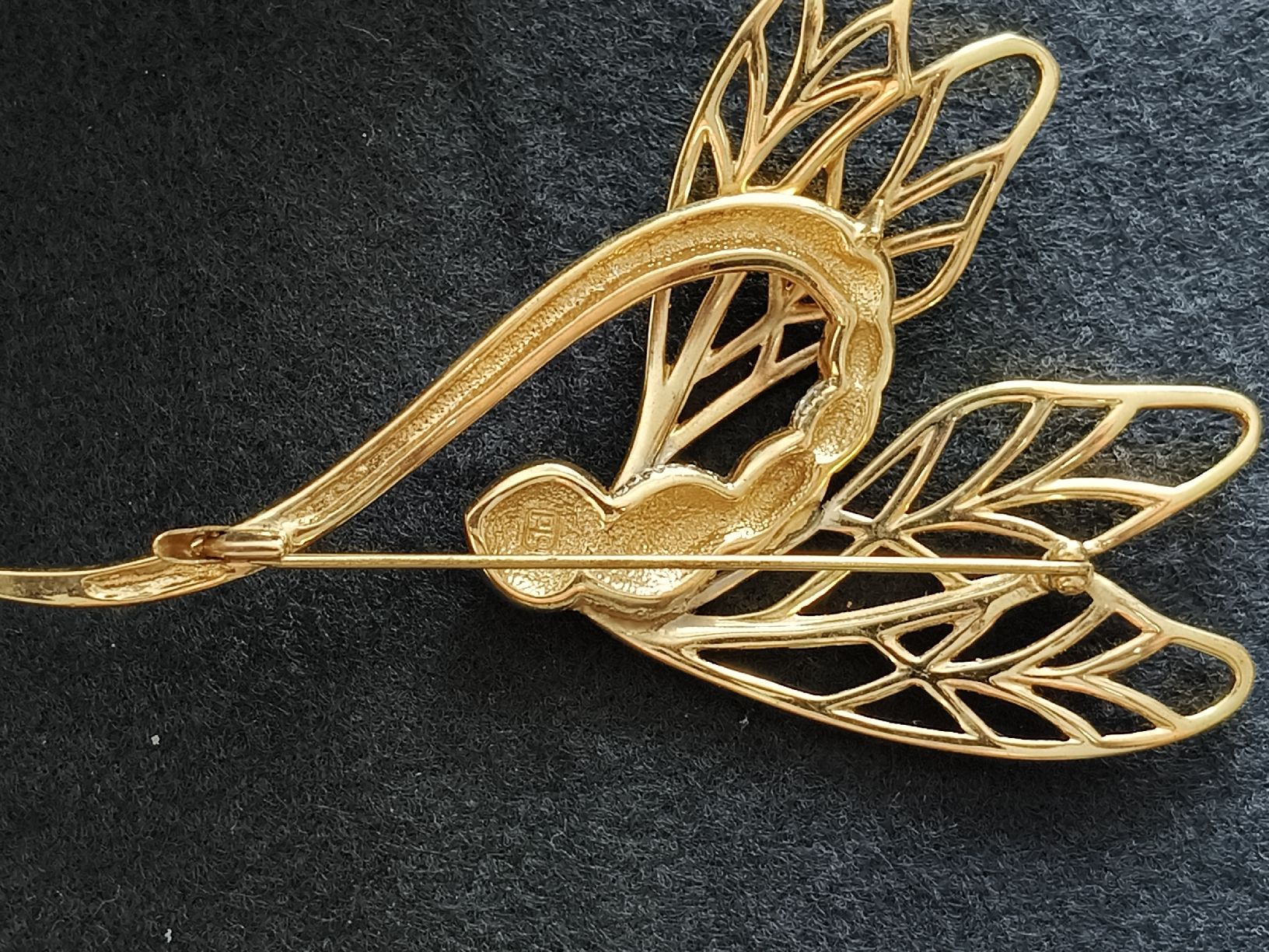 Pierre Lang Broches & Aiguilles: Brosche Libelle Pierre Lang  – D'occasion à Meisterschwanden par dan_2qpv 2