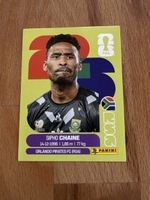 Panini Sticker RSA 3