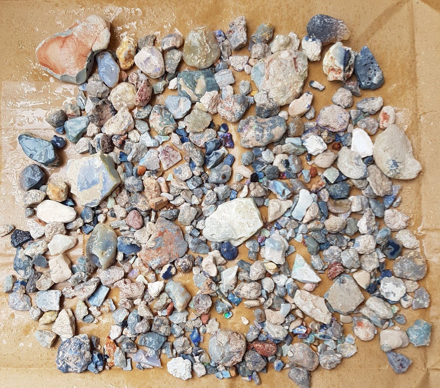 Pietre preziose: Schwarze Opal aus Australia – Nuovo e nell'imballaggio originale da zuerich venduto da Jewlsdesign 4