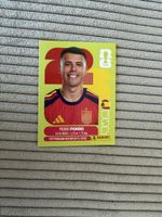 Panini Sammelbild Fussball. Pedro Porro ESP6