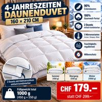 4-Jahreszeiten Daunenduvet 160x210 cm 90% Entendaunen