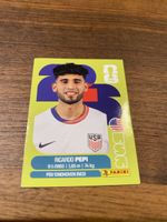 Panini USA 18