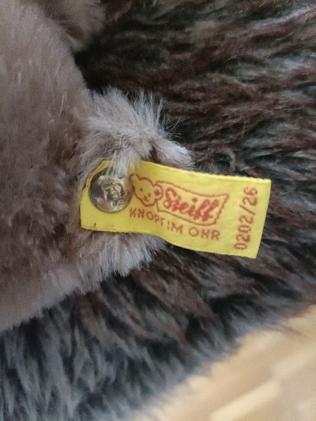 Steiff Giocattoli: Süsser Steiff Teddybär, 40 Jahre alt – Nuovo (secondo la descrizione) da Schinznach Bad venduto da knucker 2