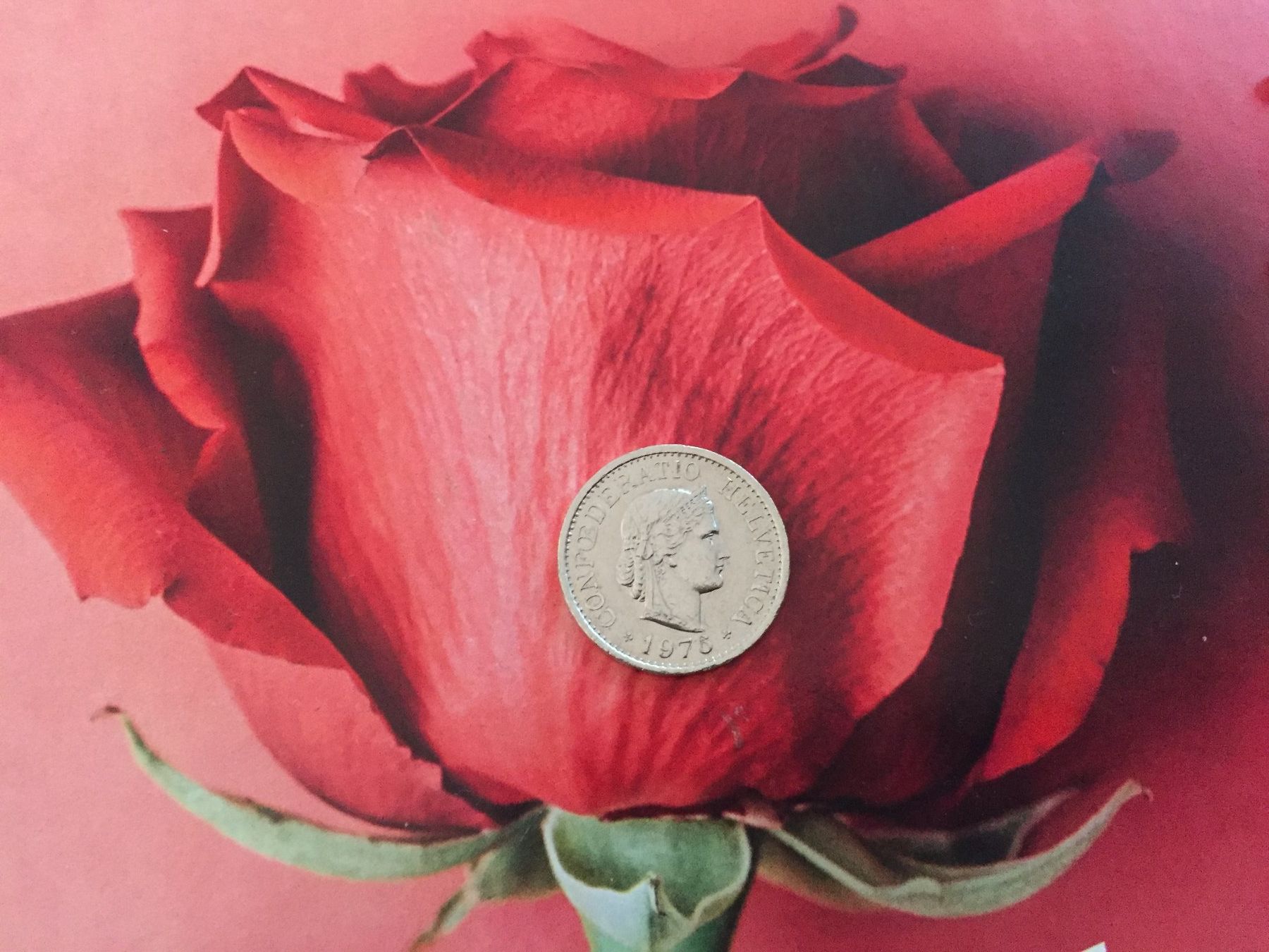 Tutti le monete: 10 Rappen 1976 ss+ – Usato da Elsau venduto da herbybay 3