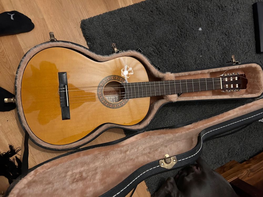 Walden Gitarre klassisch | Kaufen auf Ricardo