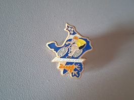 Pin GP Rüebliland